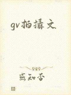 gv拍摄文