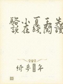 骆小夏王先生小说在线阅读