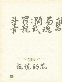 斗罗:开局抽取青龙武魂吊打唐三封面