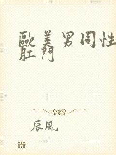 欧美男同性恋操肛门