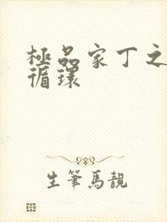 极品家丁之因果循环封面