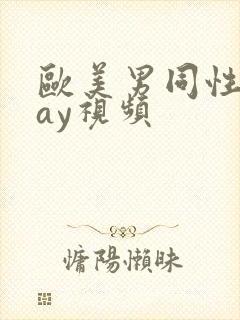 欧美男同性恋gay视频