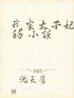 我家太子妃超凶的 小说