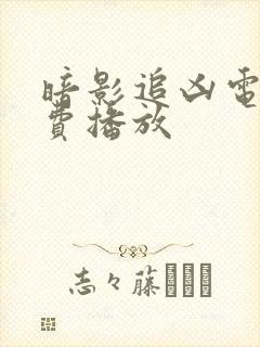 暗影追凶电影免费播放封面