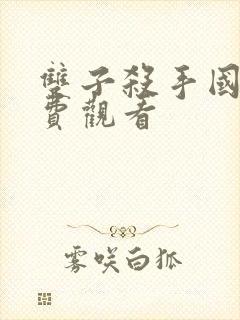 双子杀手国语免费观看