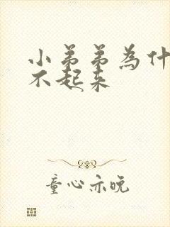 小弟弟为什么勃不起来