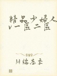 精品少妇人妻av一区二区