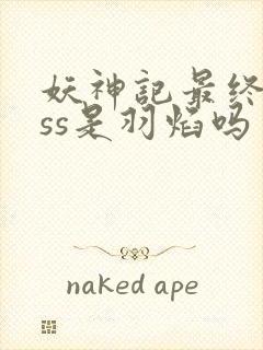 妖神记最终boss是羽焰吗