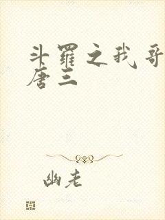 斗罗之我哥哥是唐三封面