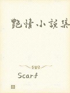 艳情小说集封面