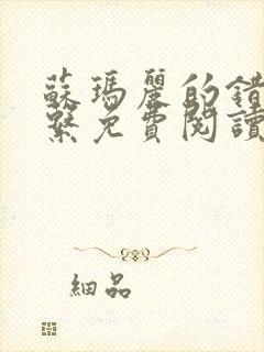 苏玛丽的错位关系免费阅读