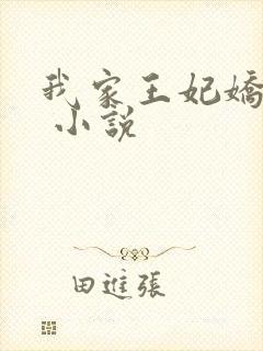 我家王妃娇又飒 小说
