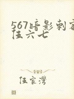 567暗影刺客伍六七