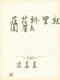 在花轿里就开始圆房h