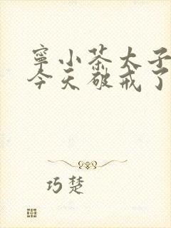 宁小茶太子殿下今天破戒了吗免费阅读