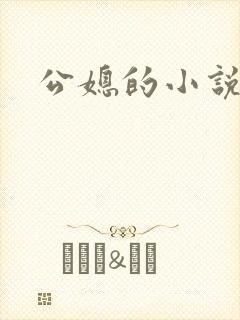 公媳的小说