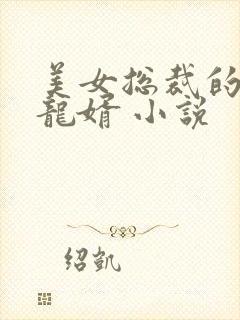 美女总裁的上门龙婿 小说