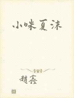 小咪夏沫封面