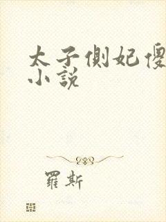 太子侧妃傻乎乎小说