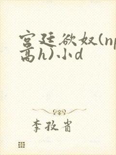 宫廷欲奴(np高h)小d