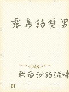 露鸟的双男主剧封面