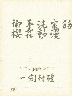 御手洗家的兄妹樱花动漫