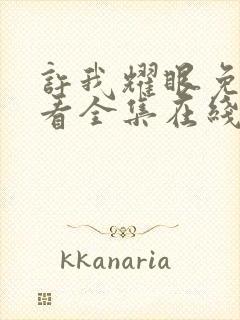 许我耀眼免费观看全集在线播放高清