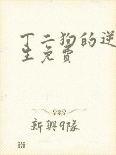 丁二狗的逆袭人生免费