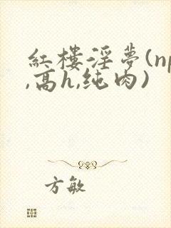 红楼淫梦(np,高h,纯肉)