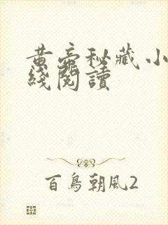 黄帝秘藏小说在线阅读