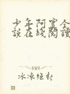 少年阿宾全文小说在线阅读