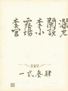 李霖李阑澜巅峰官场小说免费阅读