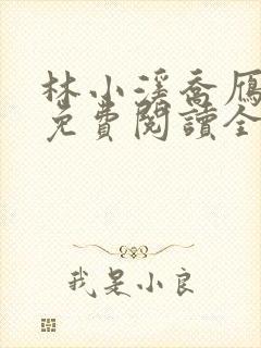 林小溪乔雁小说免费阅读全文无弹窗