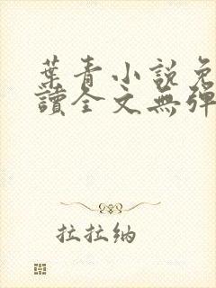 叶青小说免费阅读全文无弹窗