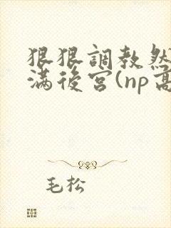 狠狠调教然后填满后宫(np高h)封面