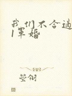 我们不合适1v1军婚封面