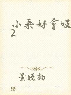 小乘好会吸1V2封面