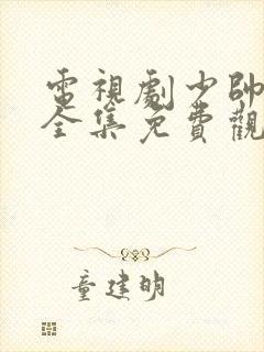 电视剧少帅48全集免费观看大陆