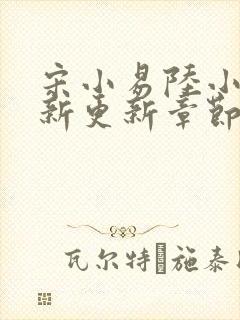 宋小易陆小婷最新更新章节笔趣阁