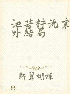 池若柠沈寒声番外结局封面