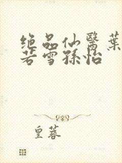 绝品仙医叶辰夏若雪孙怡