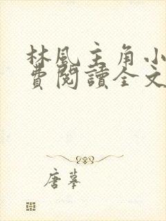 林风主角小说免费阅读全文无弹窗