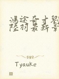 鸿途奇才刘云峰陆羽最新章节封面