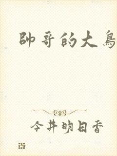 帅哥的大鸟