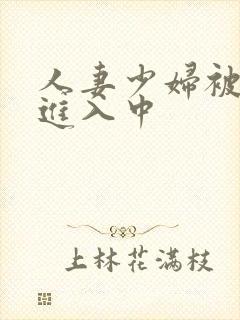 人妻少妇被猛烈进入中