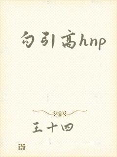 勾引高hnp