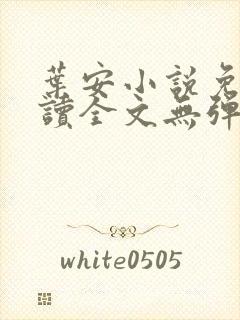 叶安小说免费阅读全文无弹窗