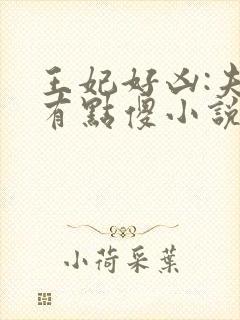 王妃好凶:夫君有点傻小说