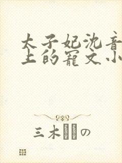 太子妃沈音和皇上的宠文小说