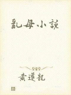 乱母小说封面
